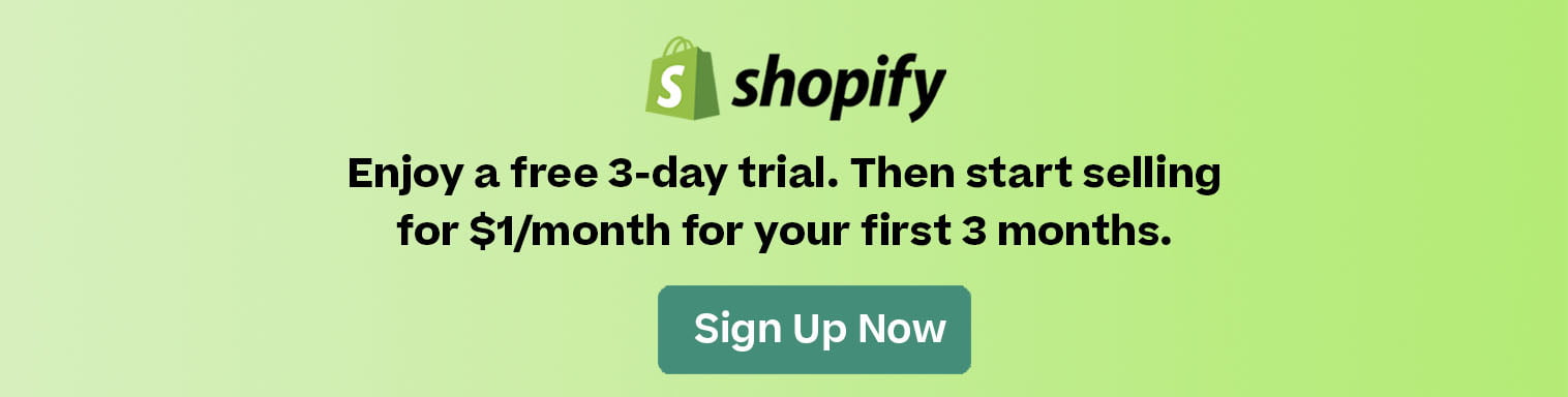 24 Most Successful Shopify Dropshipping Store Examples 2024