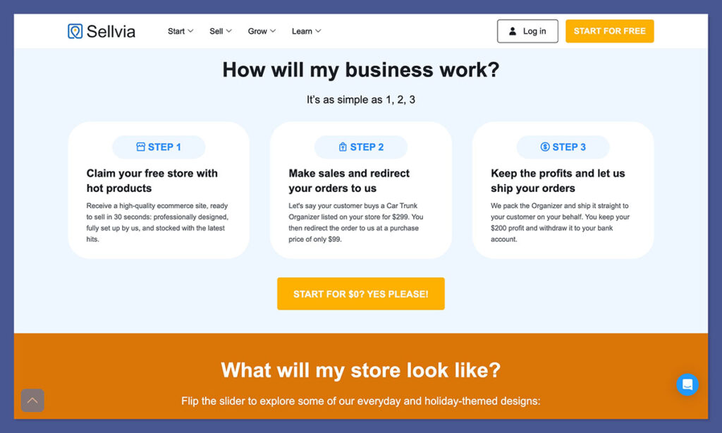 sellvia store setup